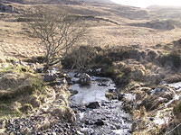 P1100206.JPG