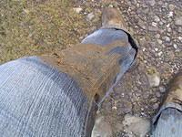 P1100214.JPG