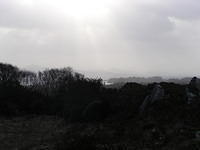 P1110233.JPG