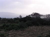 P1110234.JPG