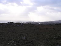 P1110237.JPG