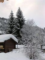 P1010019