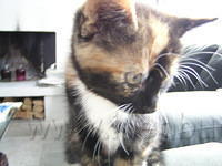 P8270004.JPG
