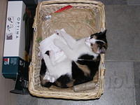PA080001.JPG