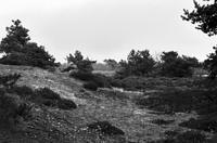 Koeckange1973.010.jpg