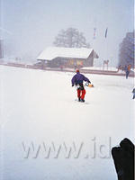 IMG 0002