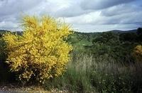 Spanje2003.009
