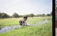Spanje2003.041