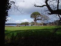 Muckross, beneden bij Torq Waterfall.
