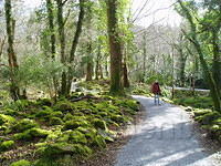 Muckroos, Joke in the "shire" ?
