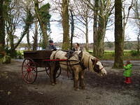 Muckross, Sanne onderhandelt over de prijs.