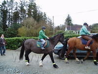 Blackwater Stables, zo te zien gaat het goed op wat geen pony meer lijkt te zijn.