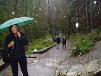 Torq waterfall in de regen.