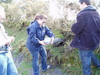 En warempel onze eerste Ierse cache.