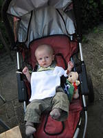 2008Texel 010.JPG
