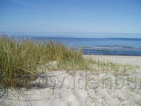 Duin, strand en zee