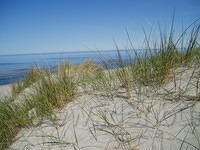 Duin en zee