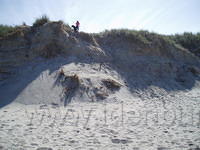 De duinen