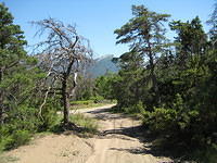 Franse Alpen en Morvan 046.JPG
