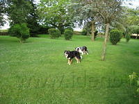 Jack en James in afwachting van de bal?