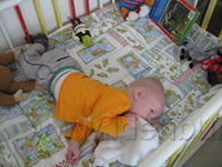 Beau in onze box