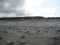 Schelpen in het zand 1