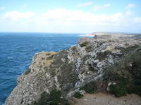 IMG 0864