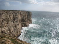 IMG 0866