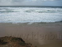 IMG 0870