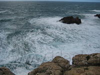 IMG 0872
