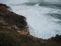 IMG 0879