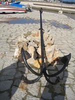 IMG 0893