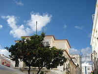 IMG 0895