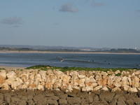IMG 0902