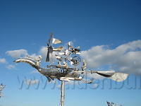 IMG 0906