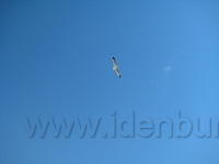 IMG 0911