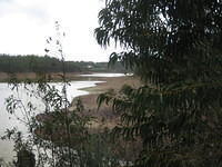 IMG 0922