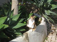 IMG 0880