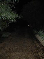 IMG 0883