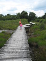 2009-07-06 Midweekje De Peel 11