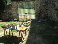 2009-06-20 Oppassen in Oppedtte 004