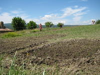 2009-06-20 Oppassen in Oppedtte 006