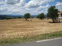 2009-06-20 Oppassen in Oppedtte 022