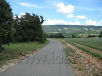 2009-06-20 Oppassen in Oppedtte 030