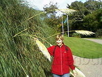 Foto's-0002
