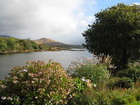 IMG 0831