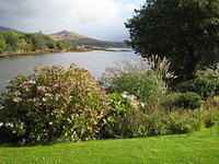 IMG 0832