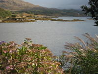 IMG 0833