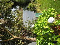 IMG 0838