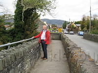 IMG 0842